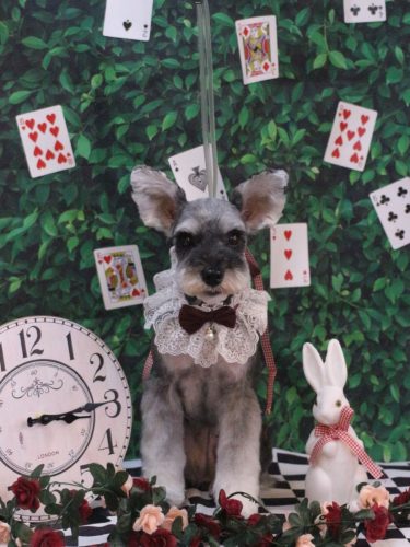 20250425むぎちゃん